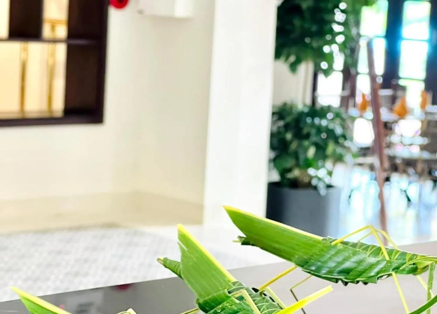 Little Residence - A Boutique Hotel & Spa Hoi An Vietnam